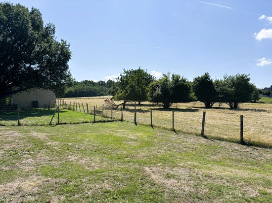 la nature autour du domaine de Lémeré-Chinon