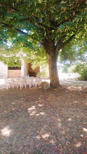 jardin du gîte Léméré Chinon pour 6 personnes